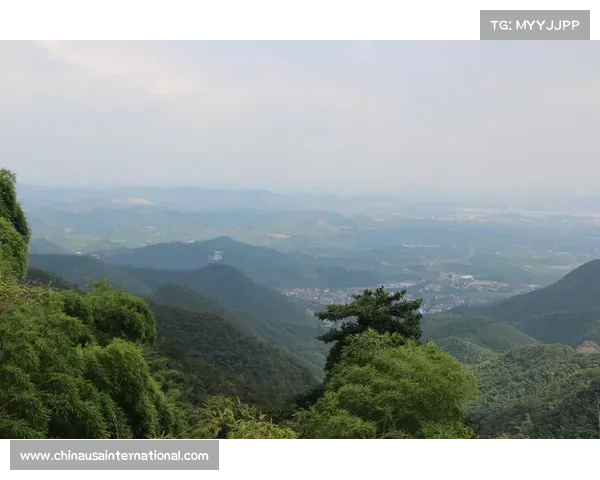 莫干山观景台在哪个景区 莫干山观景台在哪个景区